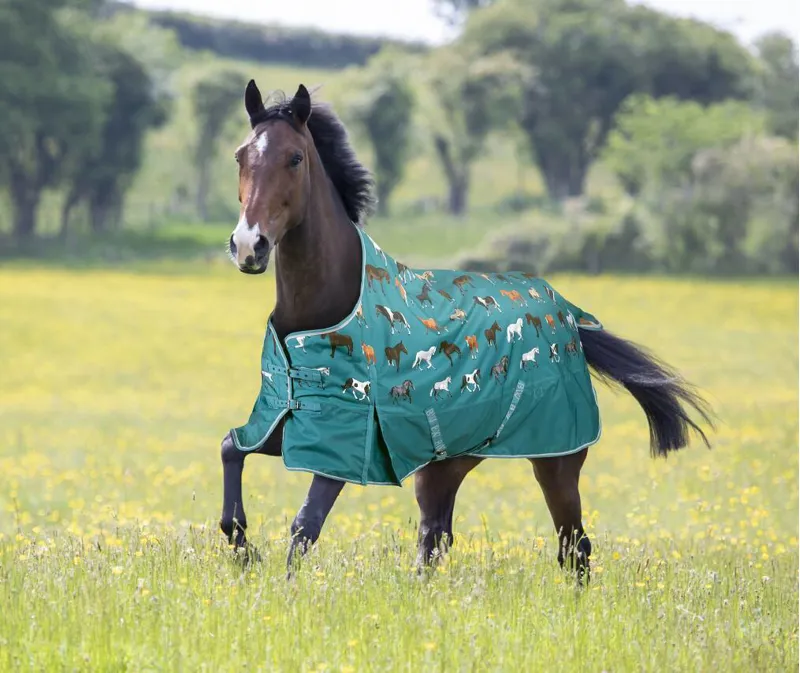 Bridleway Ontario Turnout Rug 100g 6'0 in the Horse Breed Design